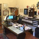 Crocini Firenze