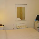 Crocini Firenze